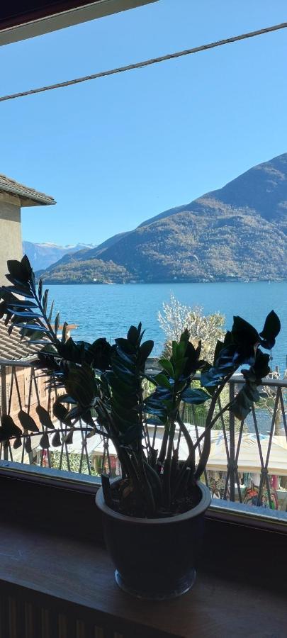 Casa Ida Villa Cannobio Dış mekan fotoğraf