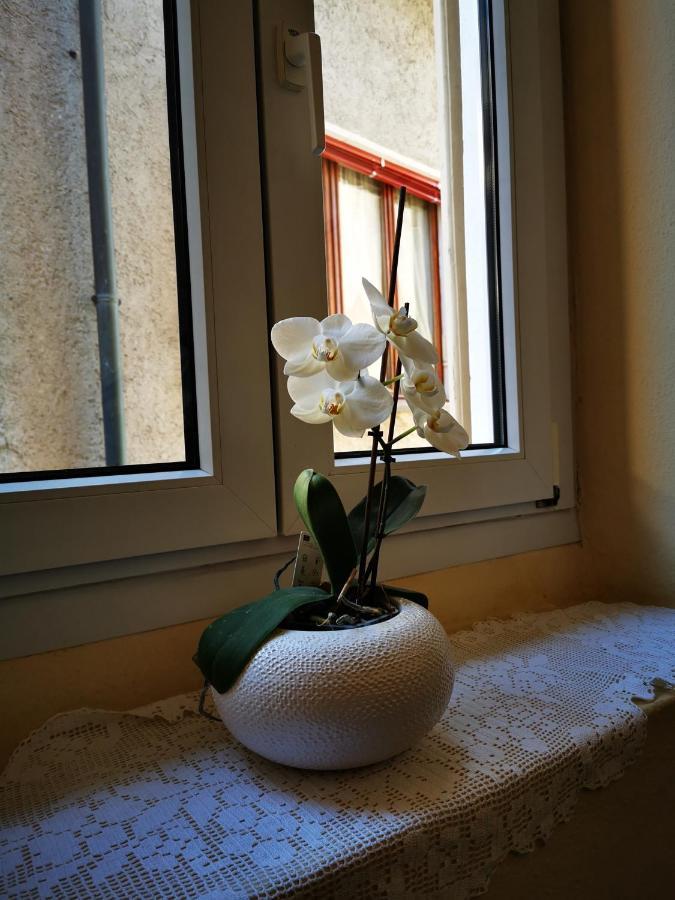 Casa Ida Villa Cannobio Dış mekan fotoğraf